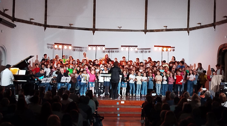Els alumnes actuant en el concert (Aj. la Seu)