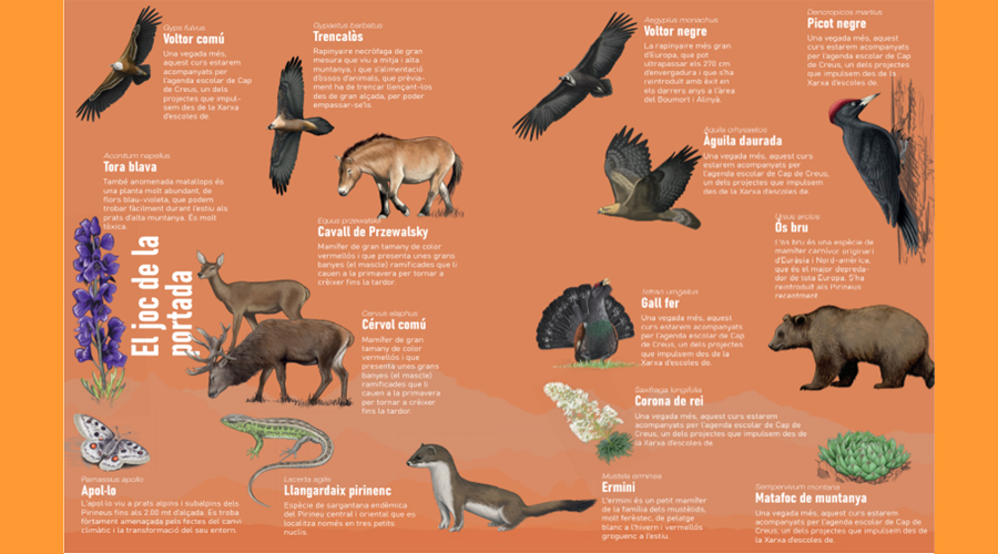 Contingut de l'interior de l'agenda escolar (Govern.cat)