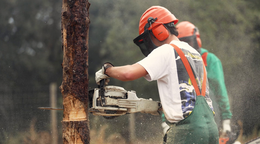 Un alumne de l'Escola Agrària del Pirineu (EA Pirineu)