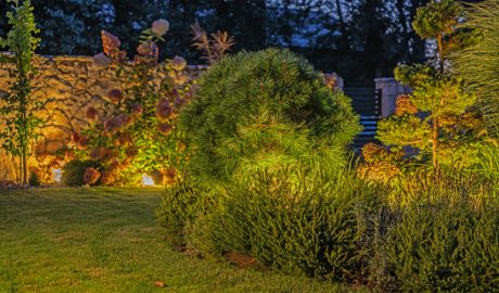 Un jardí ben il·luminat