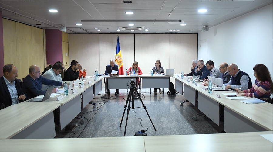 Reunió del Consell Econòmic i Social (SFGA)