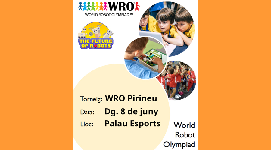 El torneig se celebrarà al Palau d'Esports de la Seu (Aj. la Seu)