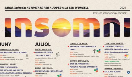 Cartell de l'Insomni 2025