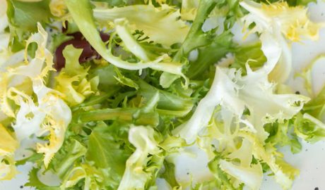 Un plat amb escarola