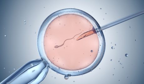 La naprotecnologia s'ha demostrat eficient, però no garanteix resultats per a tothom