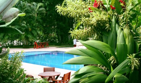Un jardí tropical