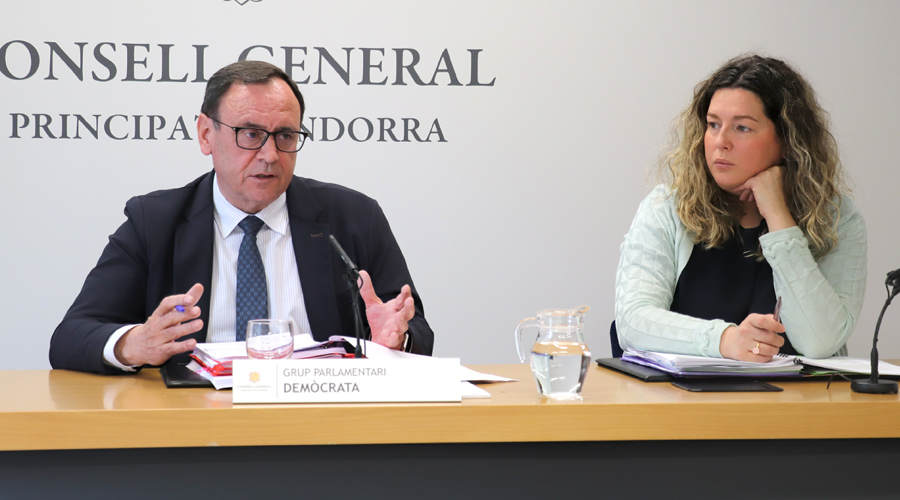 Jordi Jordana i Maria Martisella (Grup Parlamentari Demòcrata)