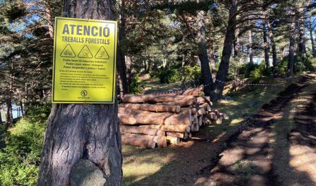 Encamp planifica la seva gestió forestal per als propers 17 anys