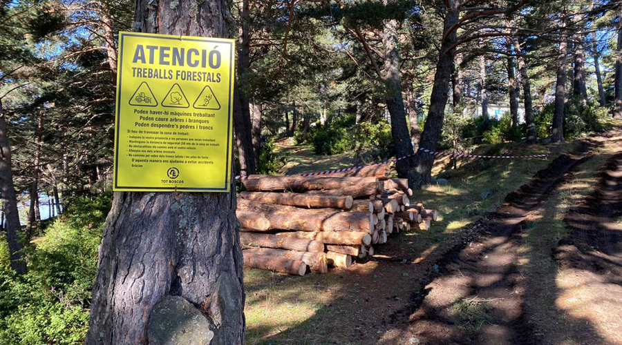 Encamp planifica la seva gestió forestal per als propers 17 anys (Comú d'Encamp)