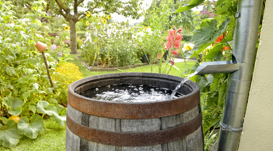 Aprofitar l'aigua de pluja és una acció sostenible a l'abast de tothom