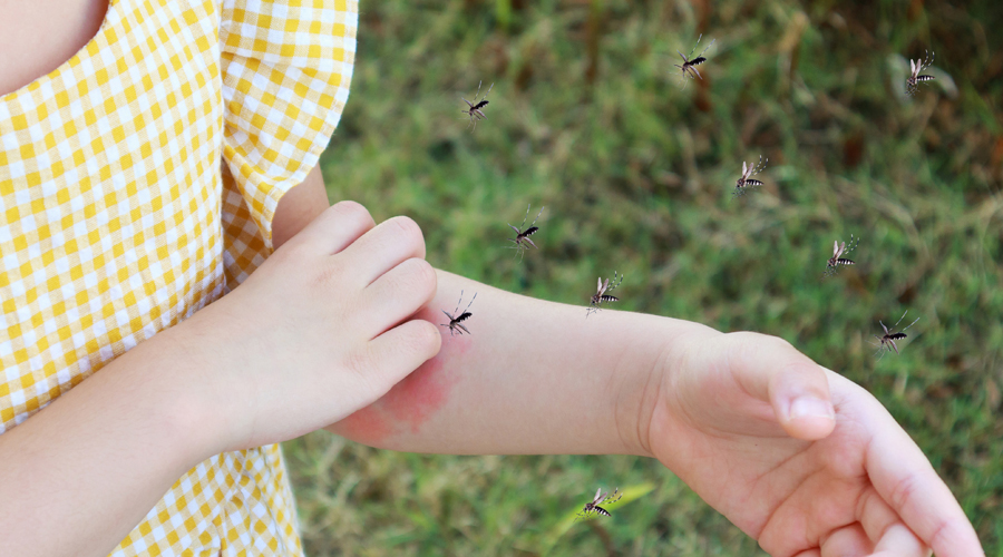 Una nena sent picada per mosquits (Getty images)
