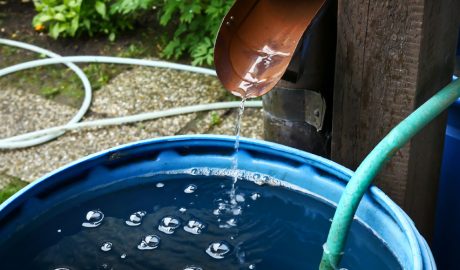 Reaprofitament de l'aigua de pluja