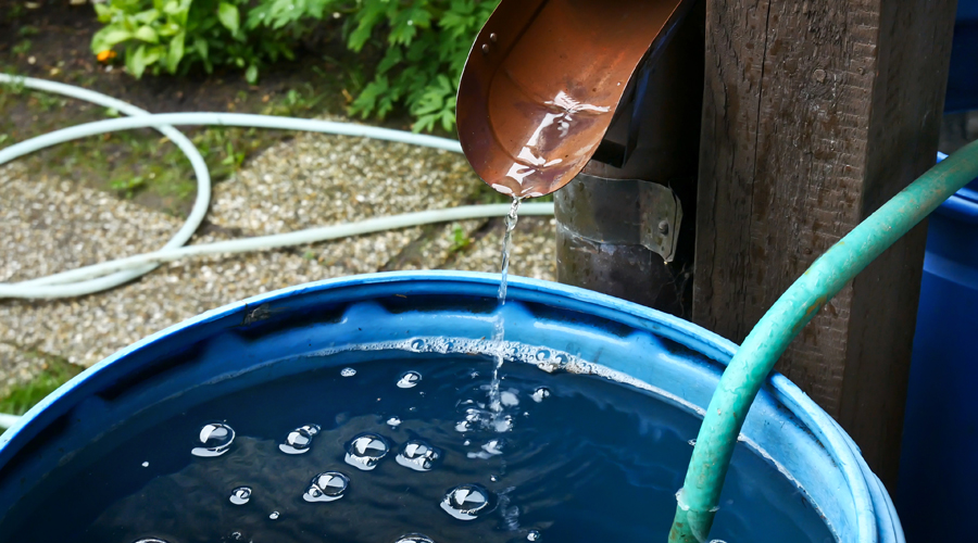 Reaprofitament de l'aigua de pluja