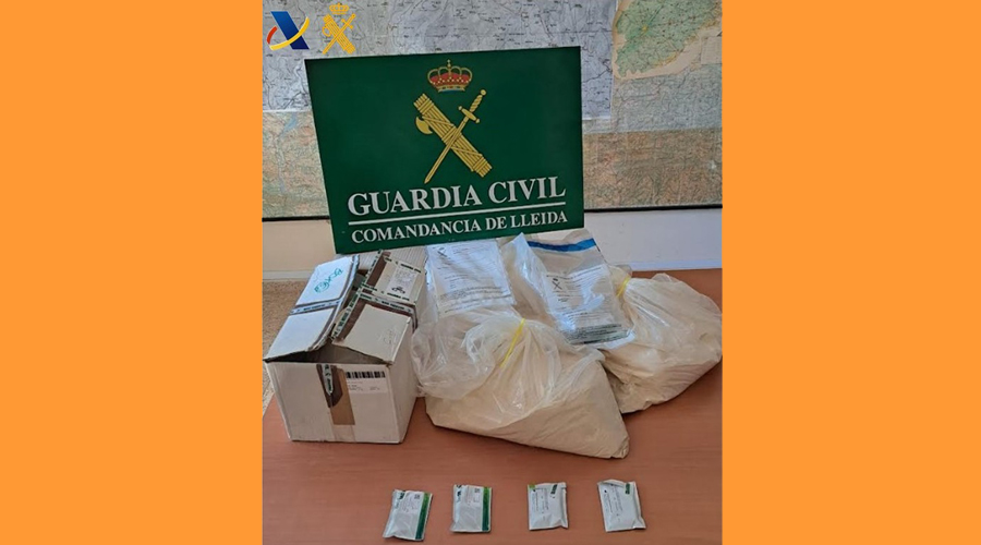 La droga intervinguda per la Guàrdia Civil a la Farga de Moles (Guàrdia Civil)