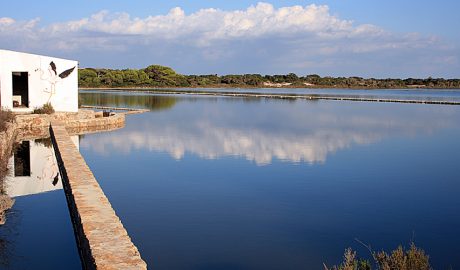 Una imatge de l'estany Pudent, a Formentera