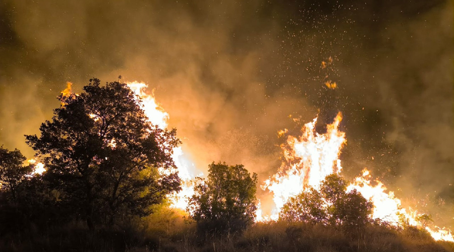 Foc a Castell de Mur (Foto: Bombers Generalitat)