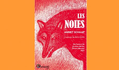 Coberta del llibre "Les noies", d'Annet Schaap