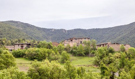 Torà de Tost