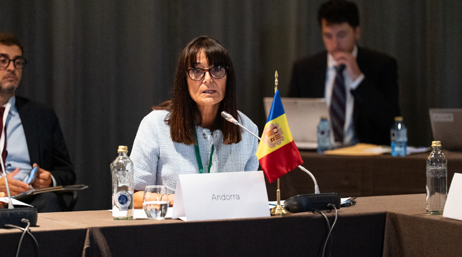 La ministra, Mònica Bonell, durant la seva intervenció a Barcelona (SFGA)