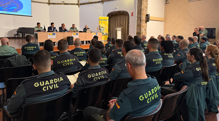 Alguns dels assistents al seminari que se celebra a la Seu (Subdelegació)