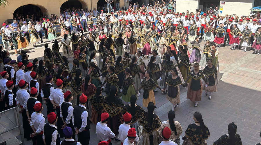 El Ball Cerdà 2025 (RàdioSeu)