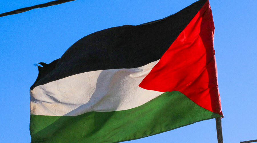 La bandera de Palestina (Unsplash)