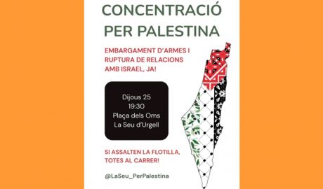 Concentració propalestina a la Seu