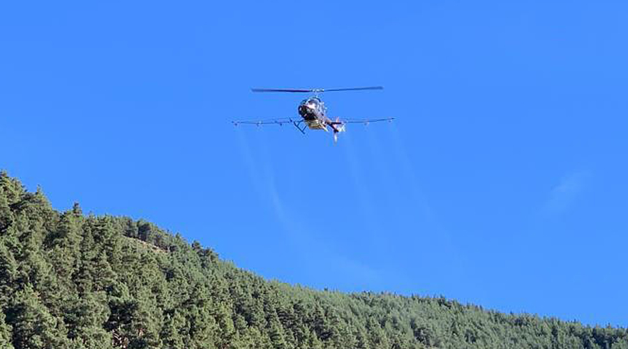 Tractament aeri per al control de la processionària del pi (Comú d'Encamp)