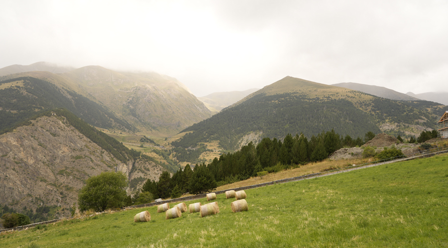 Un camp de dall (SFGA)
