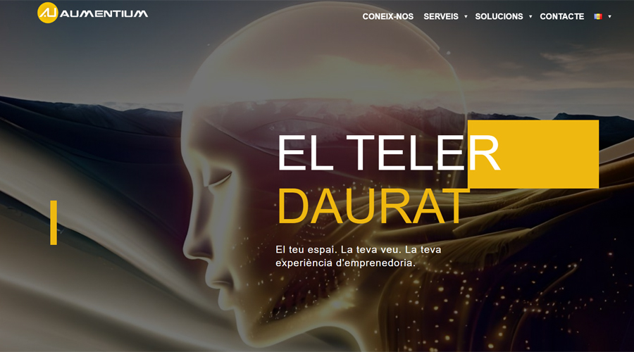 Pàgina web principal del Teler Daurat