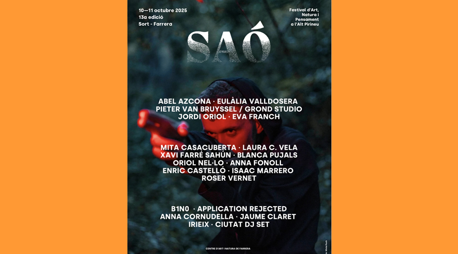 Cartell del 13è Festival Saó