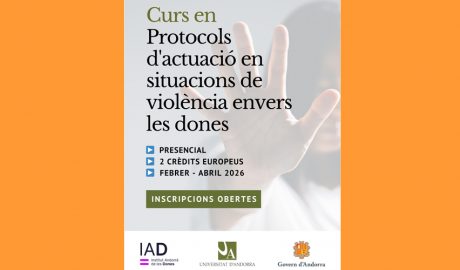 Cartell anunciant el curs