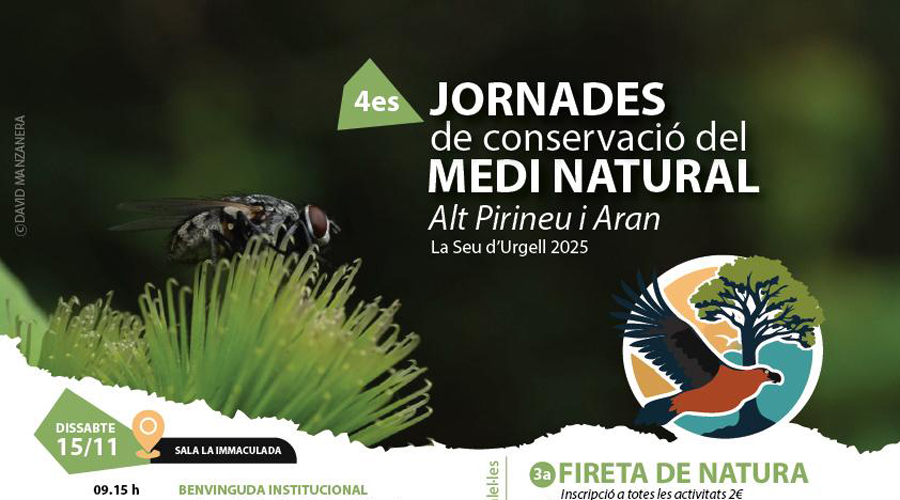 El cartell de les jornades (Aj. la Seu)