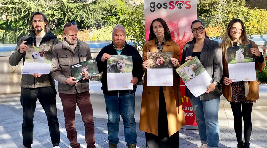 Presentació del nou calendari per al 2026 "Gossos inVISIBLES" (GosSOS)