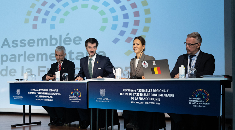 A l'esquerra, Marc Magallon i al costat, Carles Ensenyat en la sessió inaugural (Consell General)