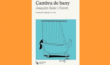 Coberta del llibre "Cambra de bany", de Joaquim Soler i Ferret