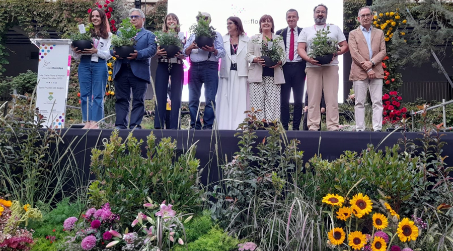 La regidora urgellenca, Gemma Tó, quarta per la dreta, amb el guardó (Aj. la Seu)