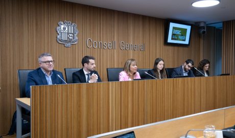 Compareixença davant la Comissió Legislativa d’Economia del Consell General