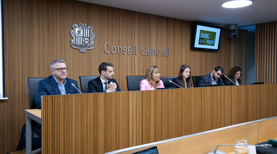 Compareixença davant la Comissió Legislativa d’Economia del Consell General (SFGA)