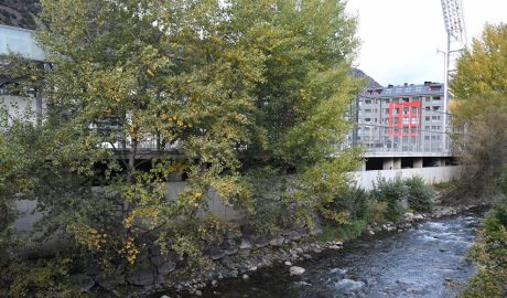 Les obres de construcció del mur s'han adjudicat per un import d'1.044.324,38 euros