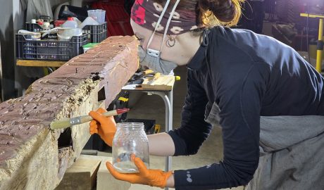 La conservadora i restauradora de béns culturals, Marta Prunera, tenint cura de la biga