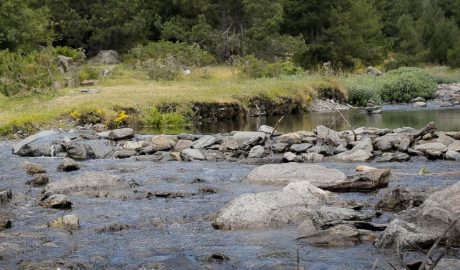 Un riu de les valls d'Andorra