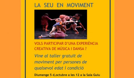 Cartell anunciador de l'activitat