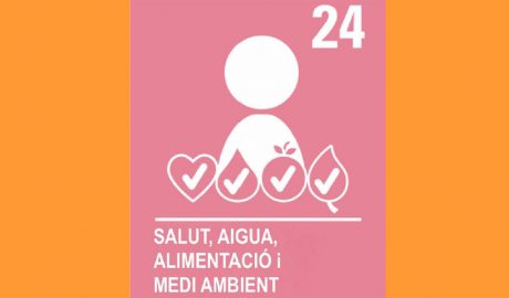 L'ONG celebra aquest dijous el 20N