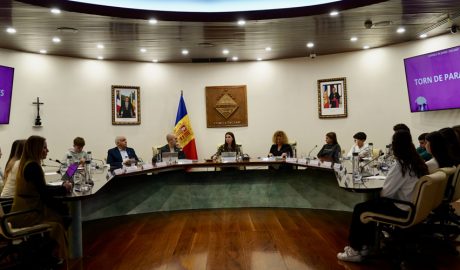 El Consell de Joves encampadà