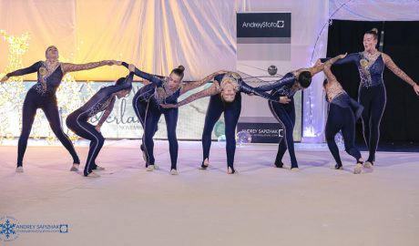 Les gimnastes sènior del club