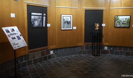 Obres del Circul'Art exposades a l'Institucional