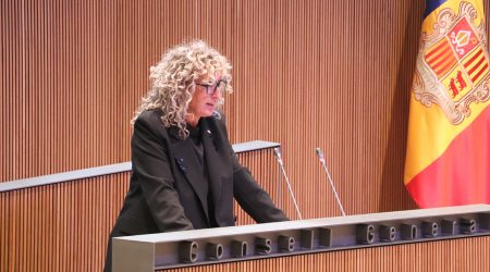 La consellera general Demòcrata, Carol Puig