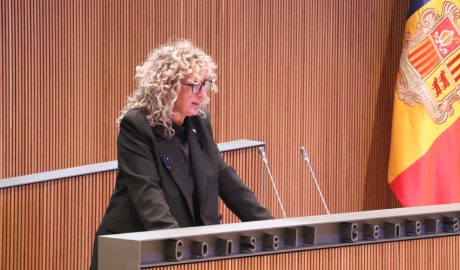 La consellera general Demòcrata, Carol Puig