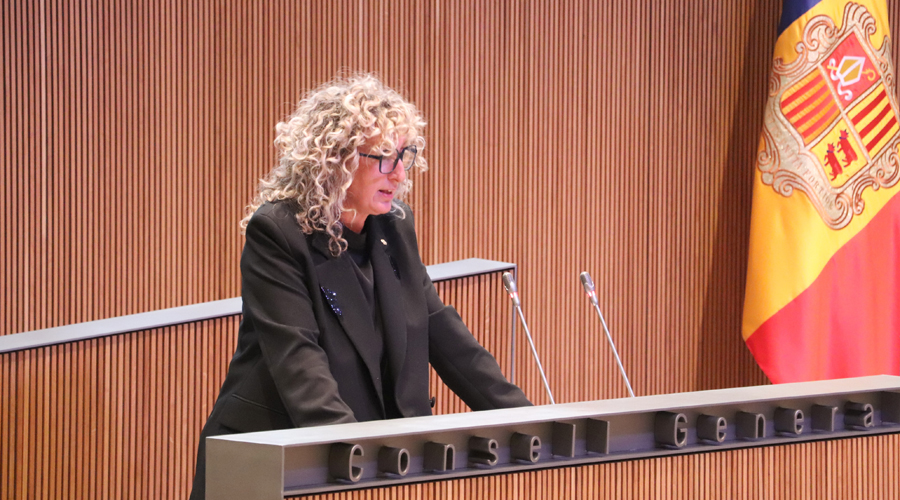 La consellera general Demòcrata, Carol Puig (Demòcrates)